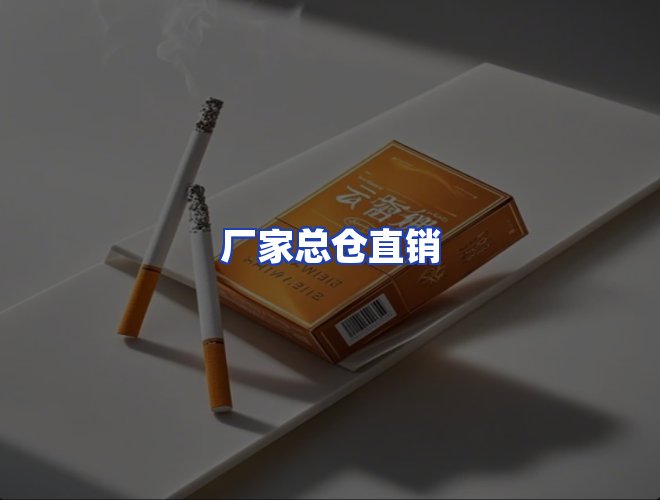 专业团队
